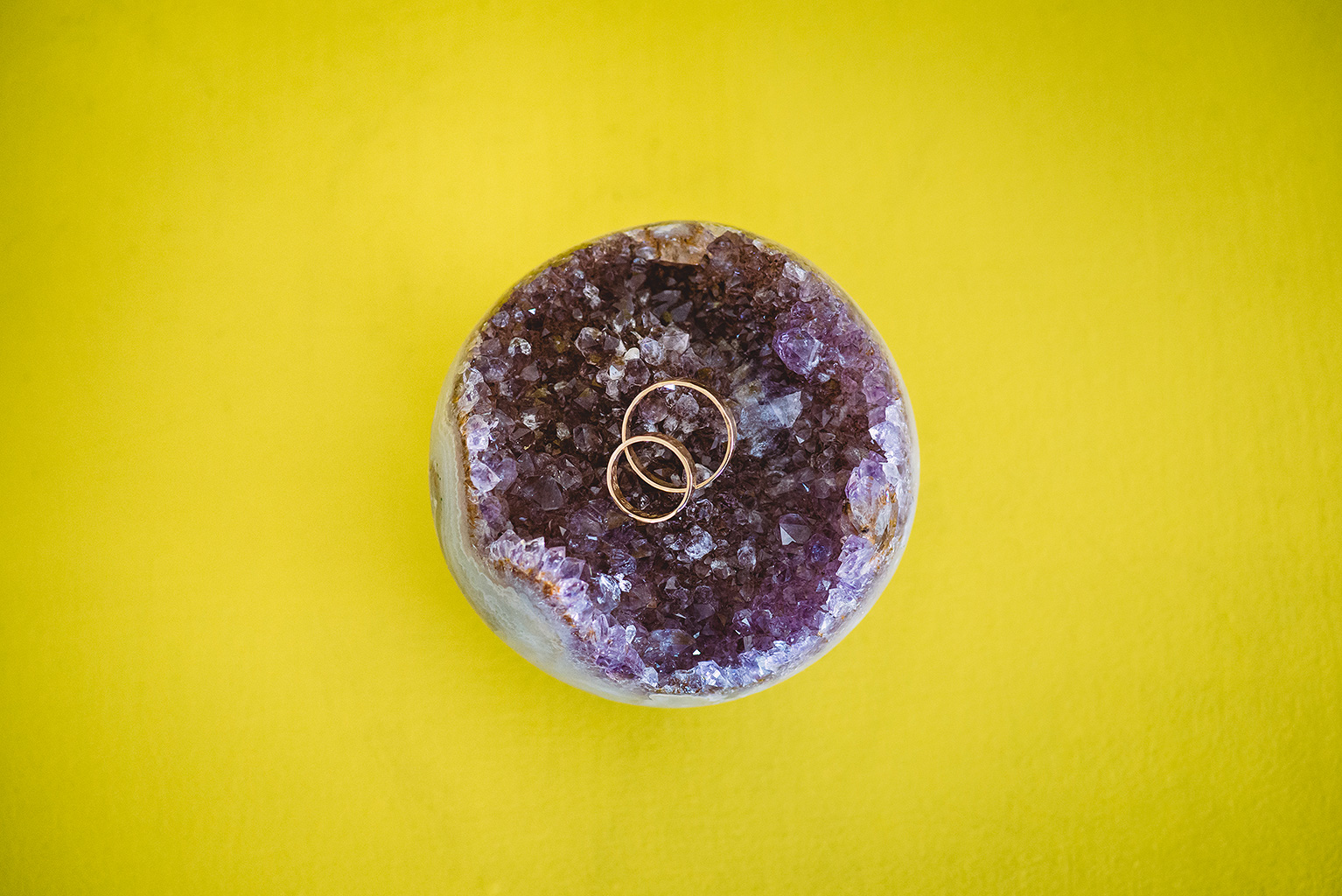 Por Alessandra Tolc - www.Photolc.com.br - www.facebook.com/Photolc.com.br